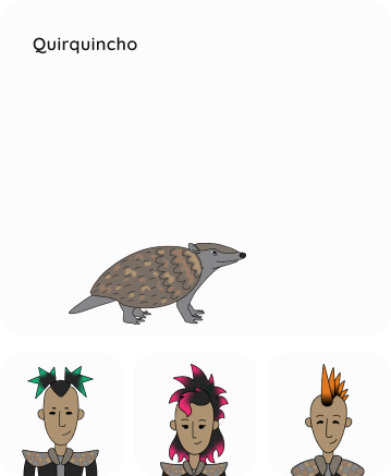 selector_quirquincho.png